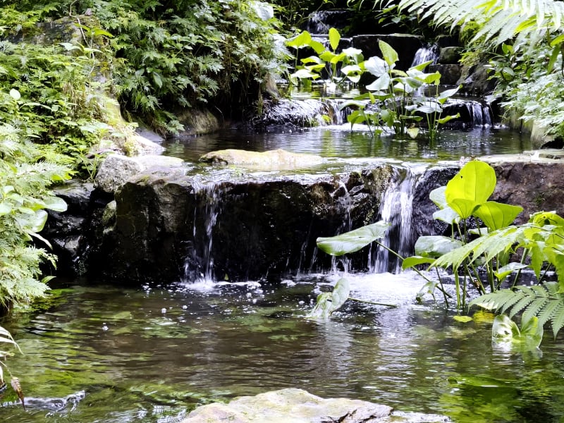 THE PATH EPISODE 6 BEFORE TIME ITSLEF